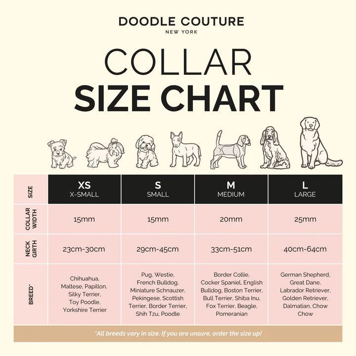 Pet Collar with Charm