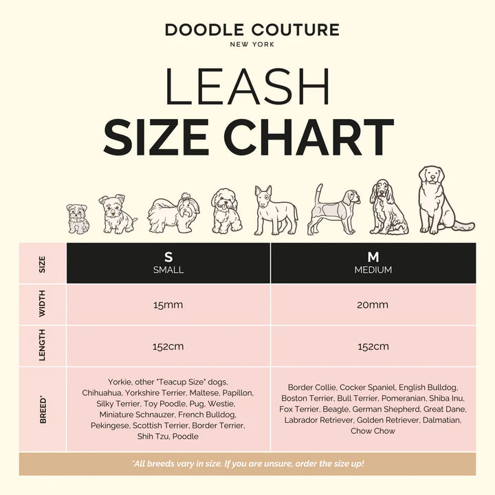 Secure-In-Place Dog Leash