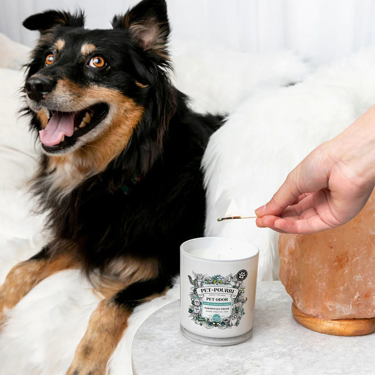Pawsitively Fresh Candle
