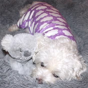 Cuddlepup Dog Pajamas - Fluffy Clouds - Purple
