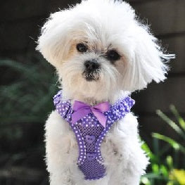 American River Choke Free Dog Harness - Paisley Purple Polka Dots