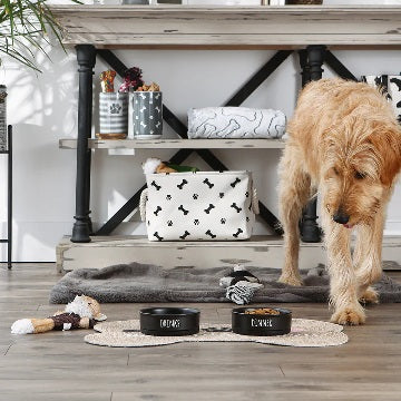 Pet Bowl Dinner and Drinks Black